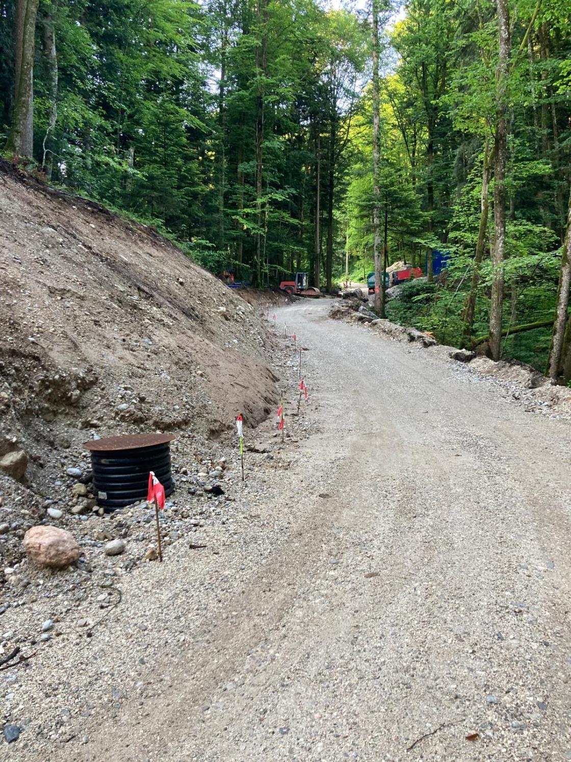 58a8189e-f561-4c30-a6b6-1f7056bbda58